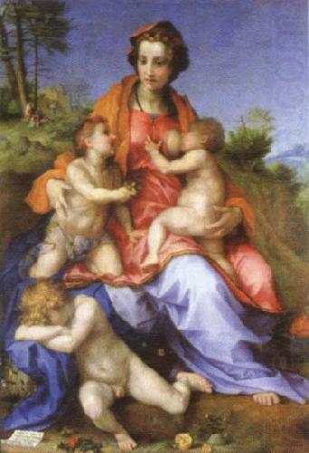 charity, Andrea del Sarto